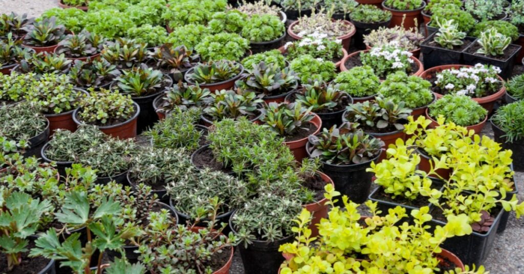 banner-4-5d113fdd8fcbe