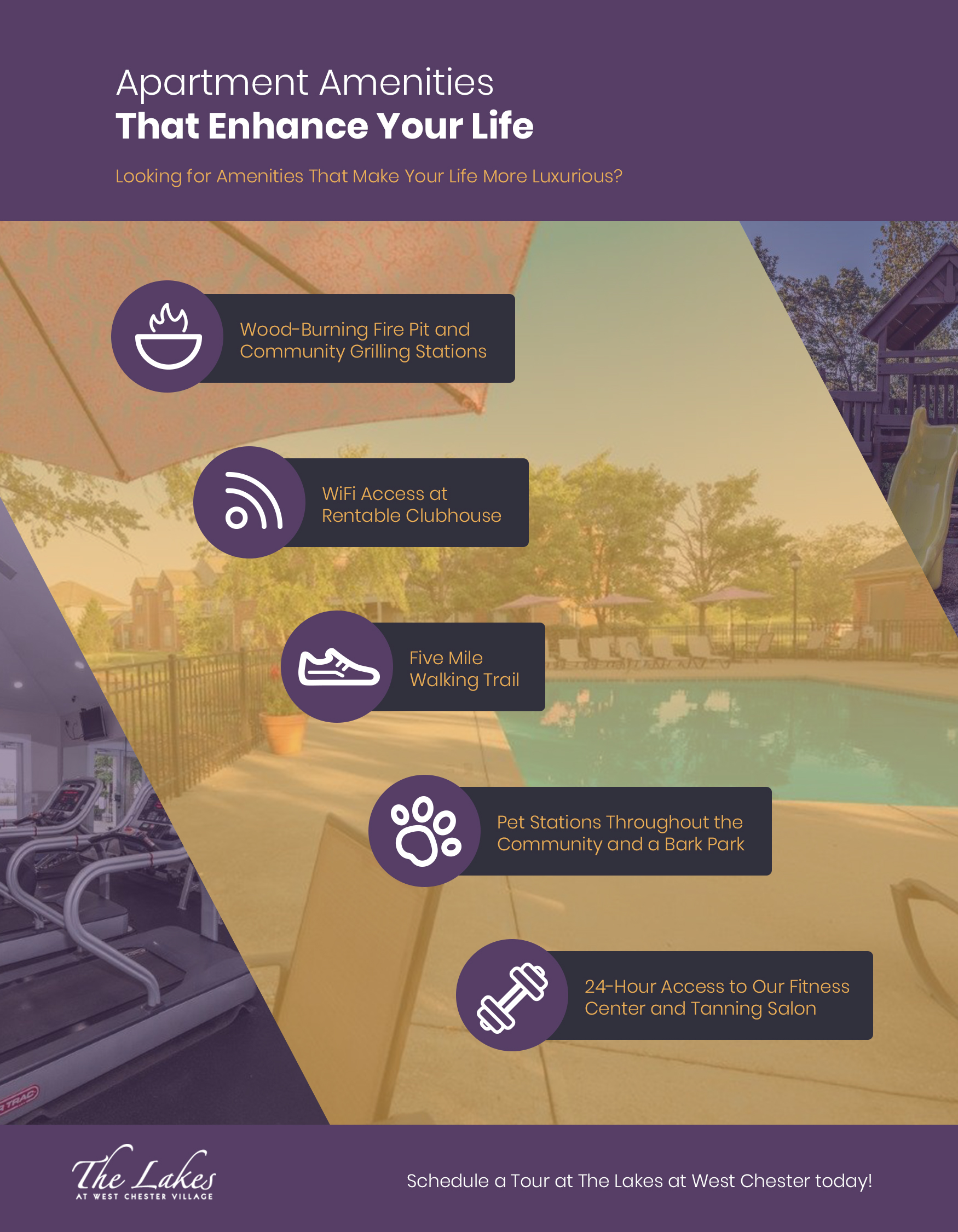 Infographic-5f3ae1890c43e