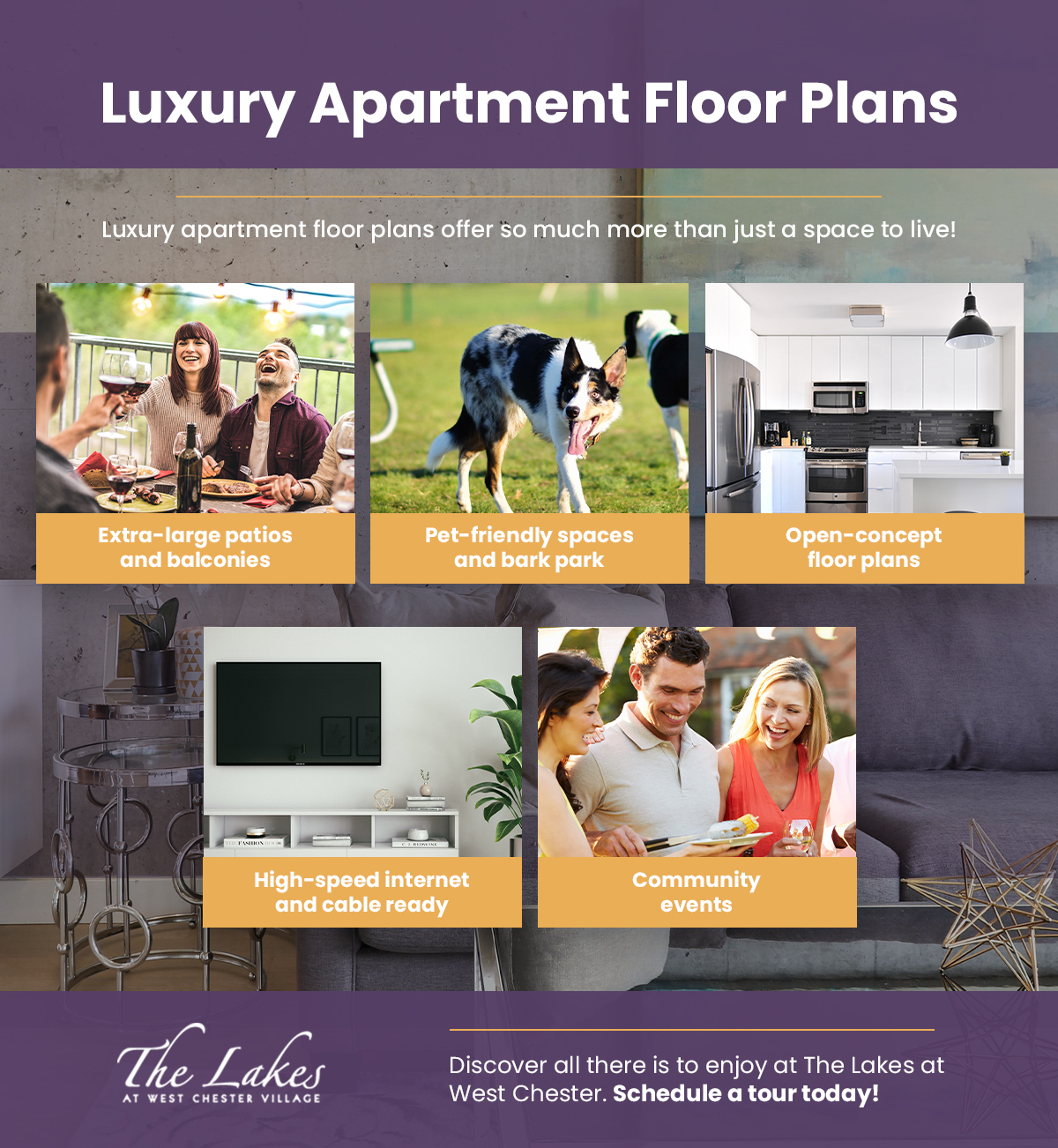Luxury-Apartment-Floor-Plans-InfographicLuxury-Apartment-Floor-Plans-5f735566d6aea