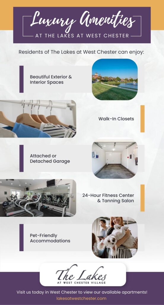 luxury amenities infographic