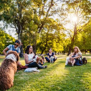 friends hanging out at the dog park