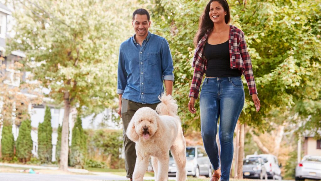 Are Our Apartment Amenities Free What To Expect Financially Blog