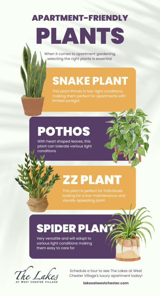 Apartment-Friendly Plants