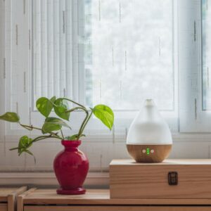 Prioritize plant light 