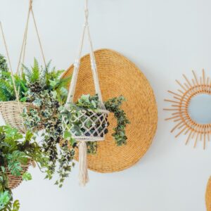 Vertical hanging plants