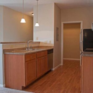 luxury apartment kitchen area