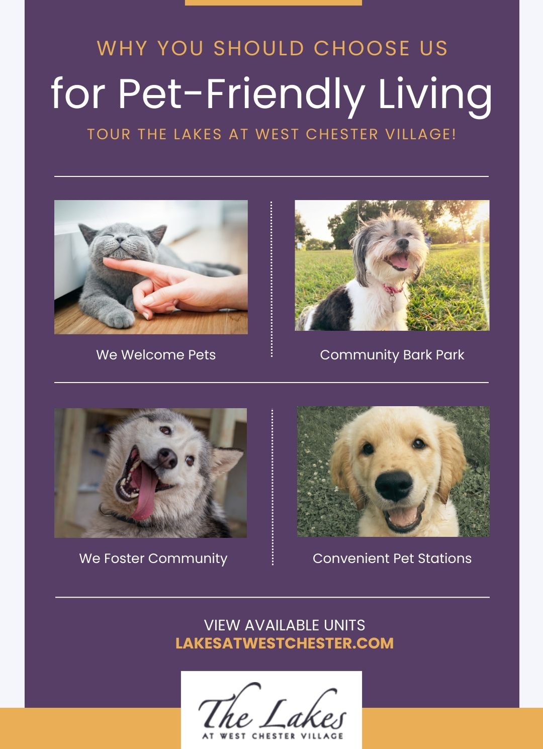 infographic summarizing points in blog - why you should choose us for pet-friendly living