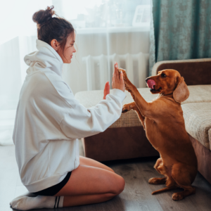 Woman playing with a dog. 